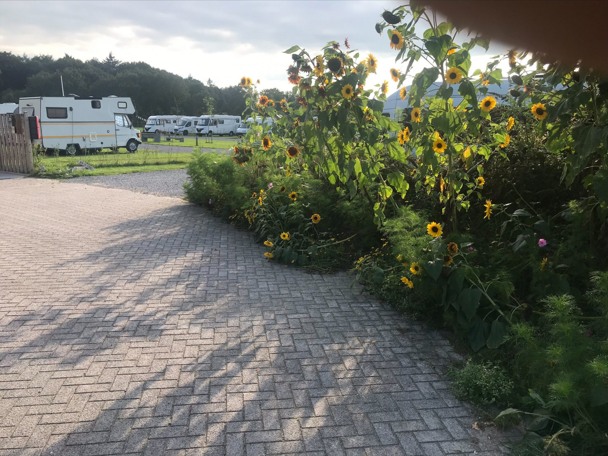 Camperplaats De Pol — Photo 1 of 1